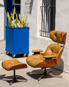 Plywood Chair & Ottoman by Selig