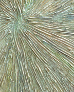 Angled detail of the starburst center, raking light picking out the raised ridges of paint.