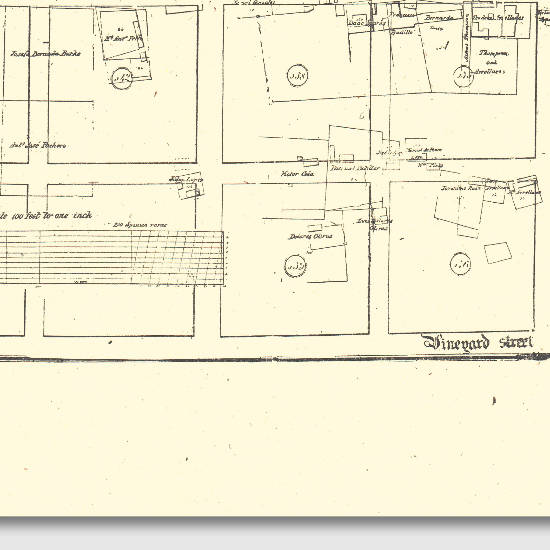 Santa Barbara Street Map Print From Antique 1855 Stamp