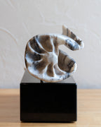 Marble Seashell by Howard Cooperman