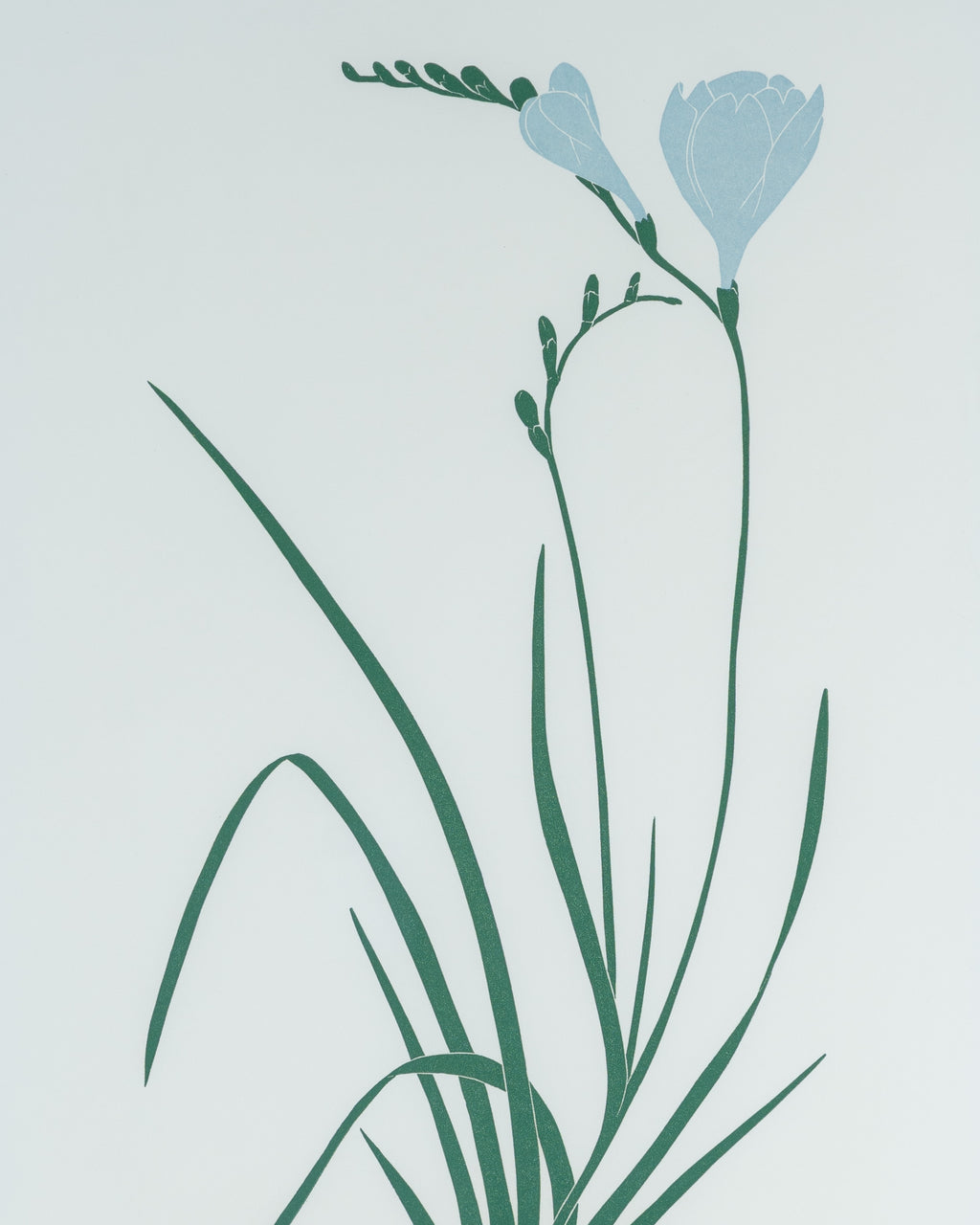 Early Rare Henry Evans Linocut "Freesia" LTD ED 146/150 Pencil Signed, 1985