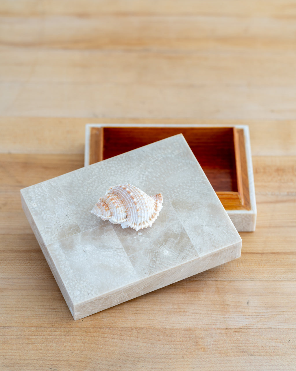 1980s Shell Handled Tessellated Petrified Wood Box with Wood Lining