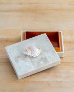1980s Shell Handled Tessellated Petrified Wood Box with Wood Lining