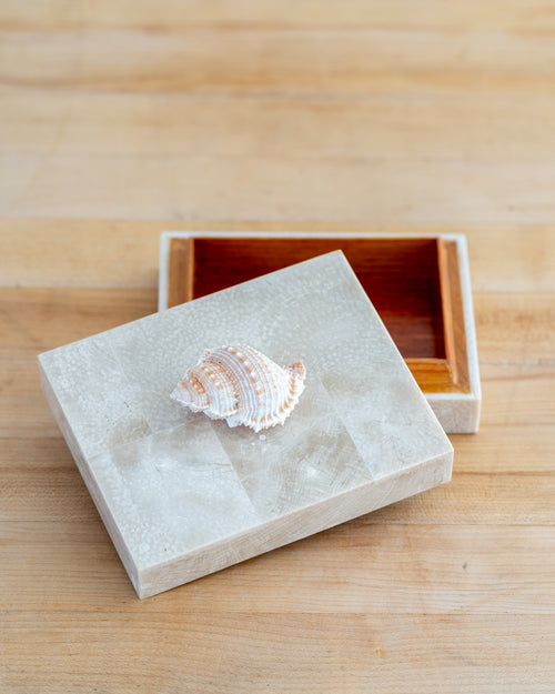1980s Shell Handled Tessellated Petrified Wood Box with Wood Lining