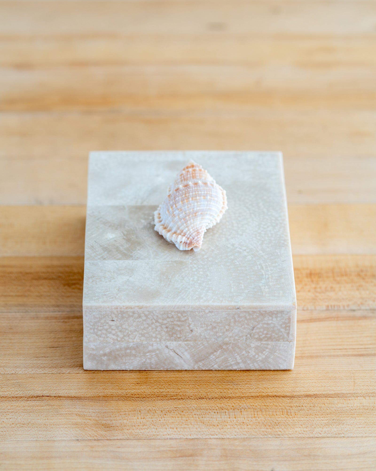 1980’s Vintage Shell Handled Tessellated Petrified Wood Box with Wood Lining