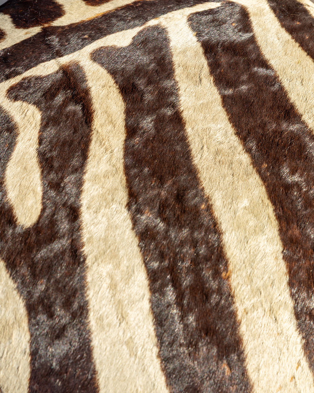 Large Fiberglass Planter with Vertical Oak Strips with Zebra Skin Upholstery