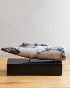 Marble Seashell by Howard Cooperman