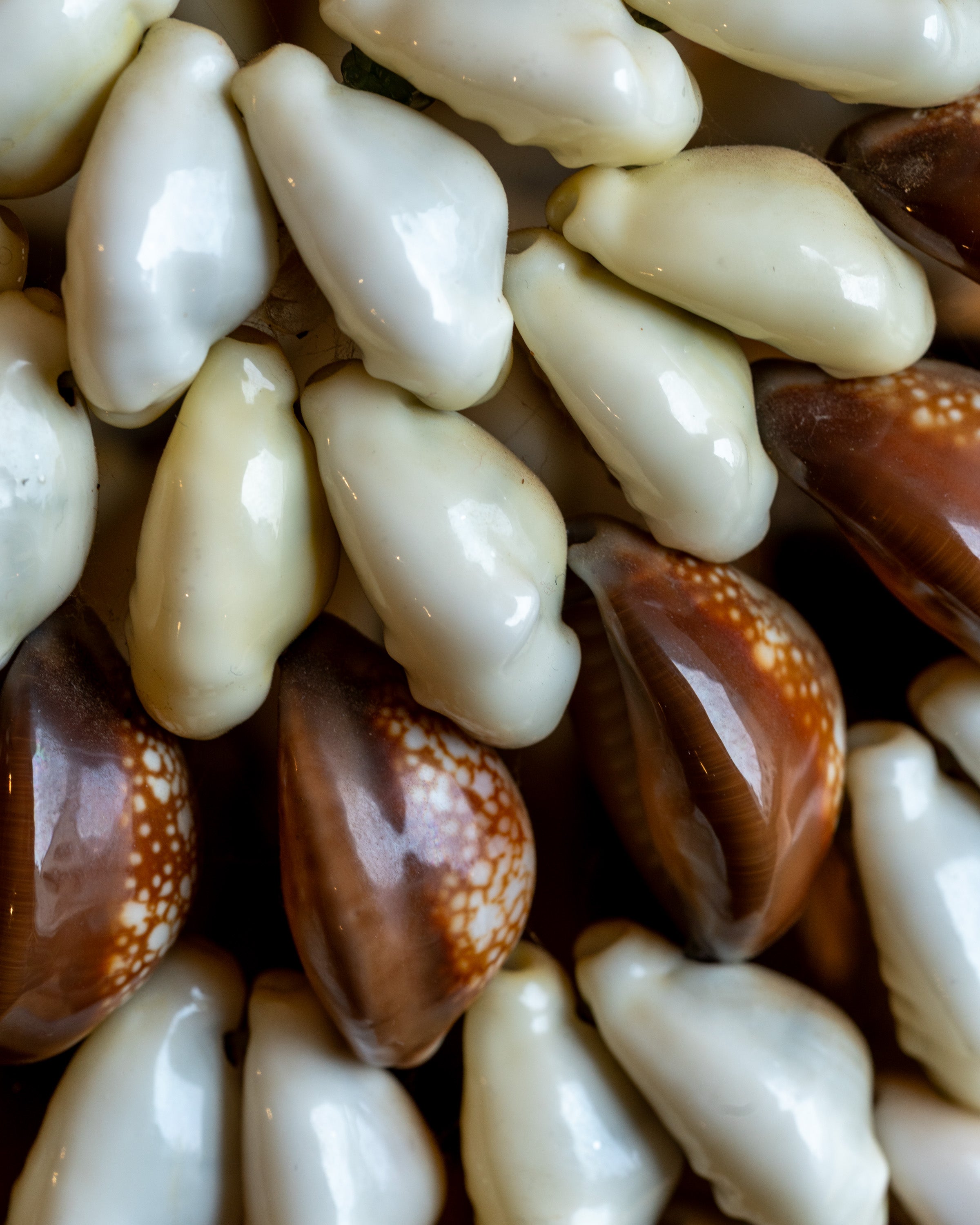 Vintage Papua New Guinea Shell Bag