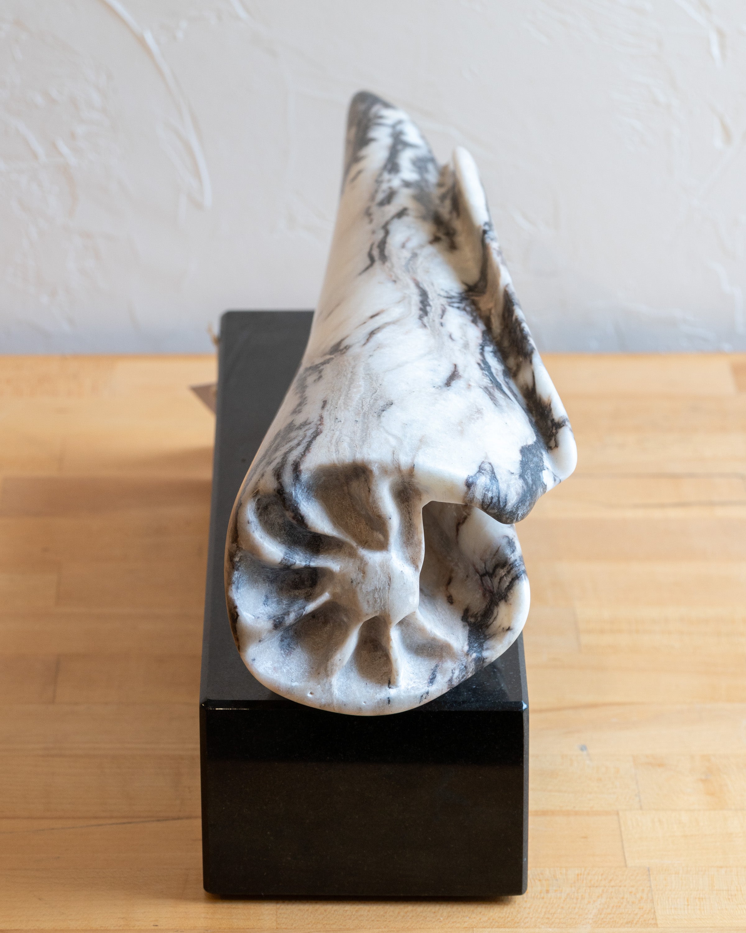 Marble Seashell by Howard Cooperman