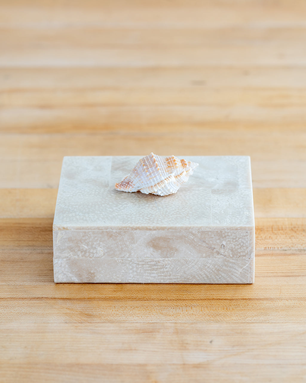 1980s Shell Handled Tessellated Petrified Wood Box with Wood Lining