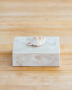 1980s Shell Handled Tessellated Petrified Wood Box with Wood Lining