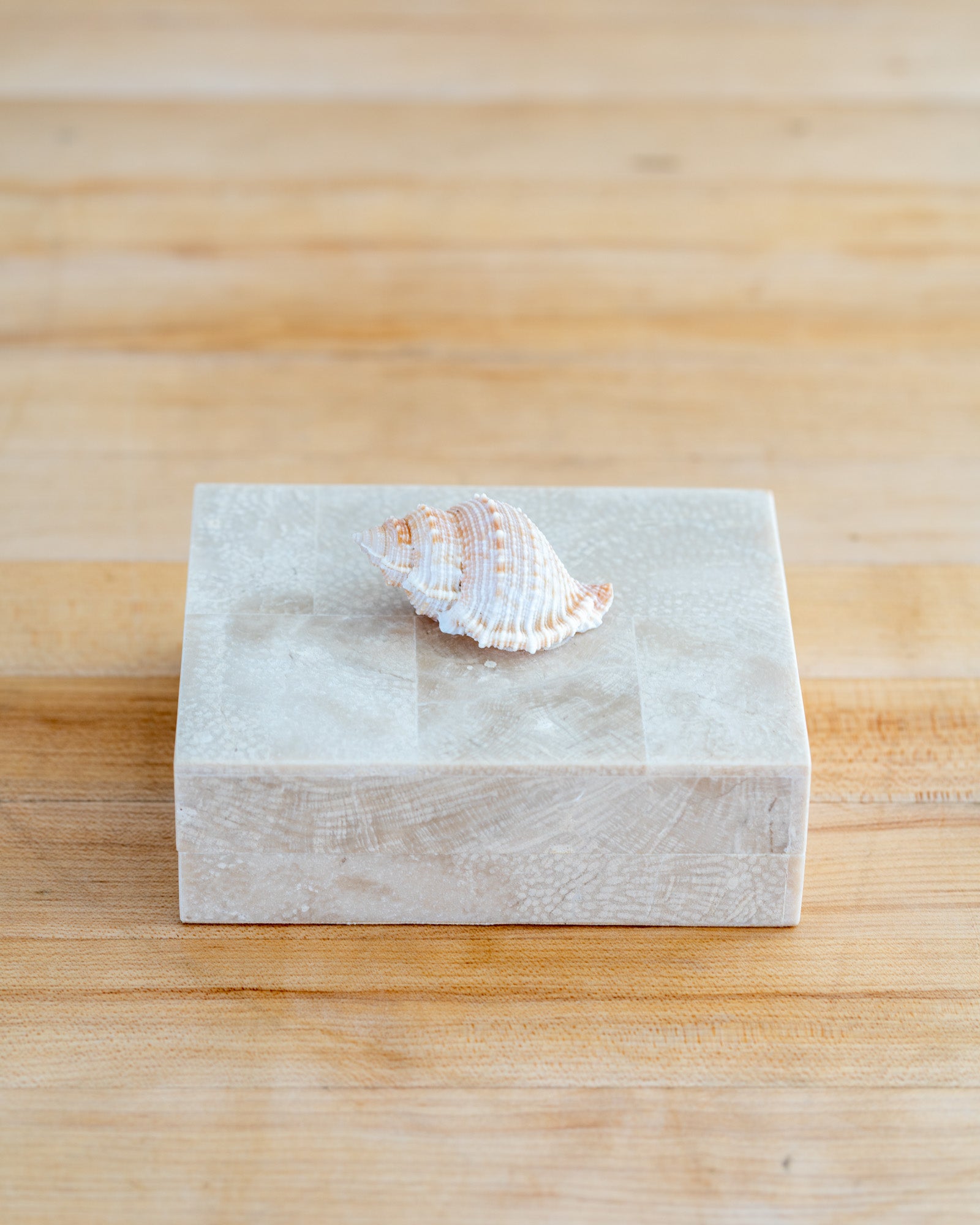 1980’s Vintage Shell Handled Tessellated Petrified Wood Box with Wood Lining