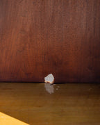 Close detail of a hole through the back panel of the cabinet interior, just above the shelf, with light showing through from behind