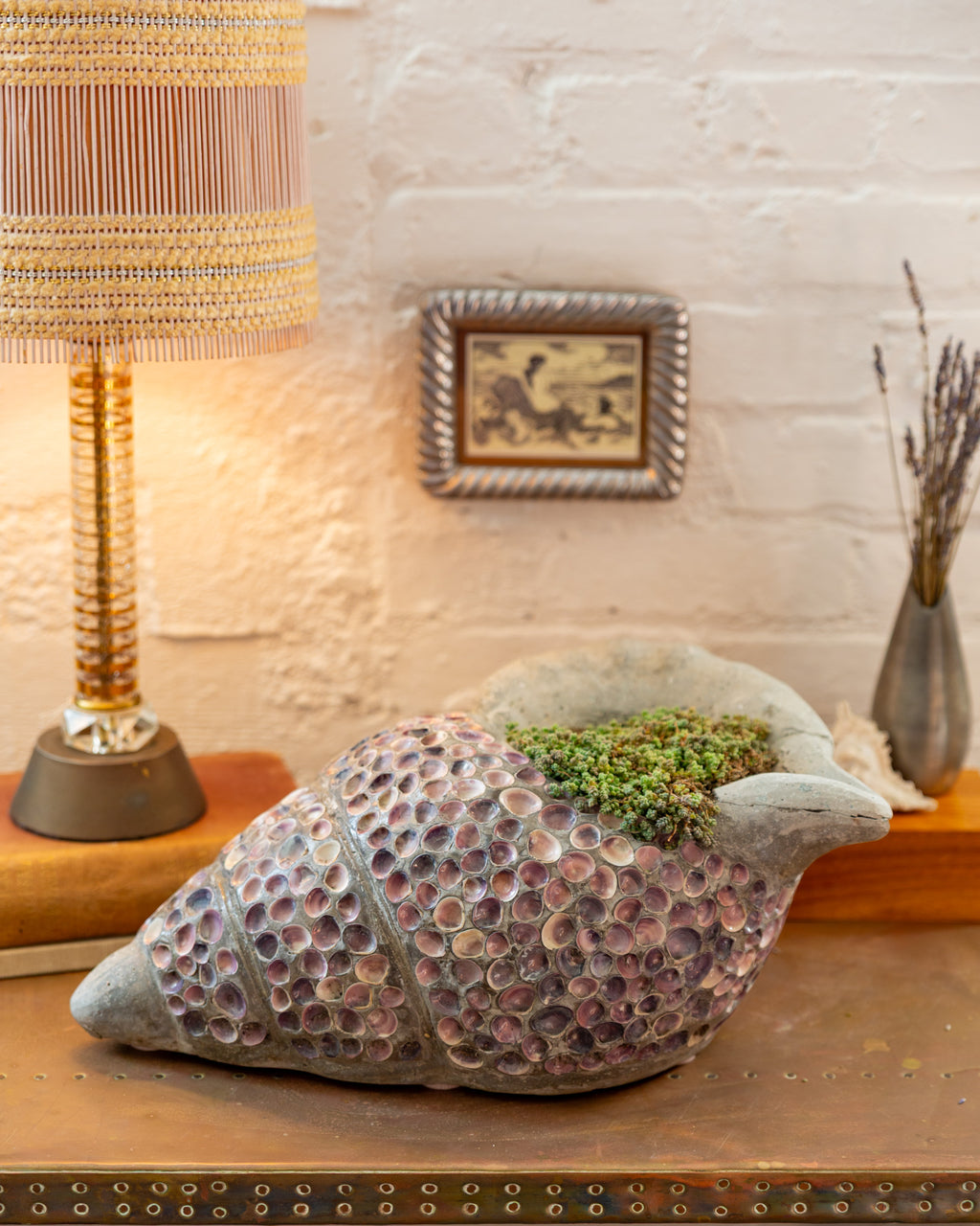 Front three-quarter view of a gray conch planter inlaid with pink shells in spiral bands beside a lamp