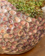 Close-up of small pink and lavender bivalve shells set edge to edge in the body of a conch planter