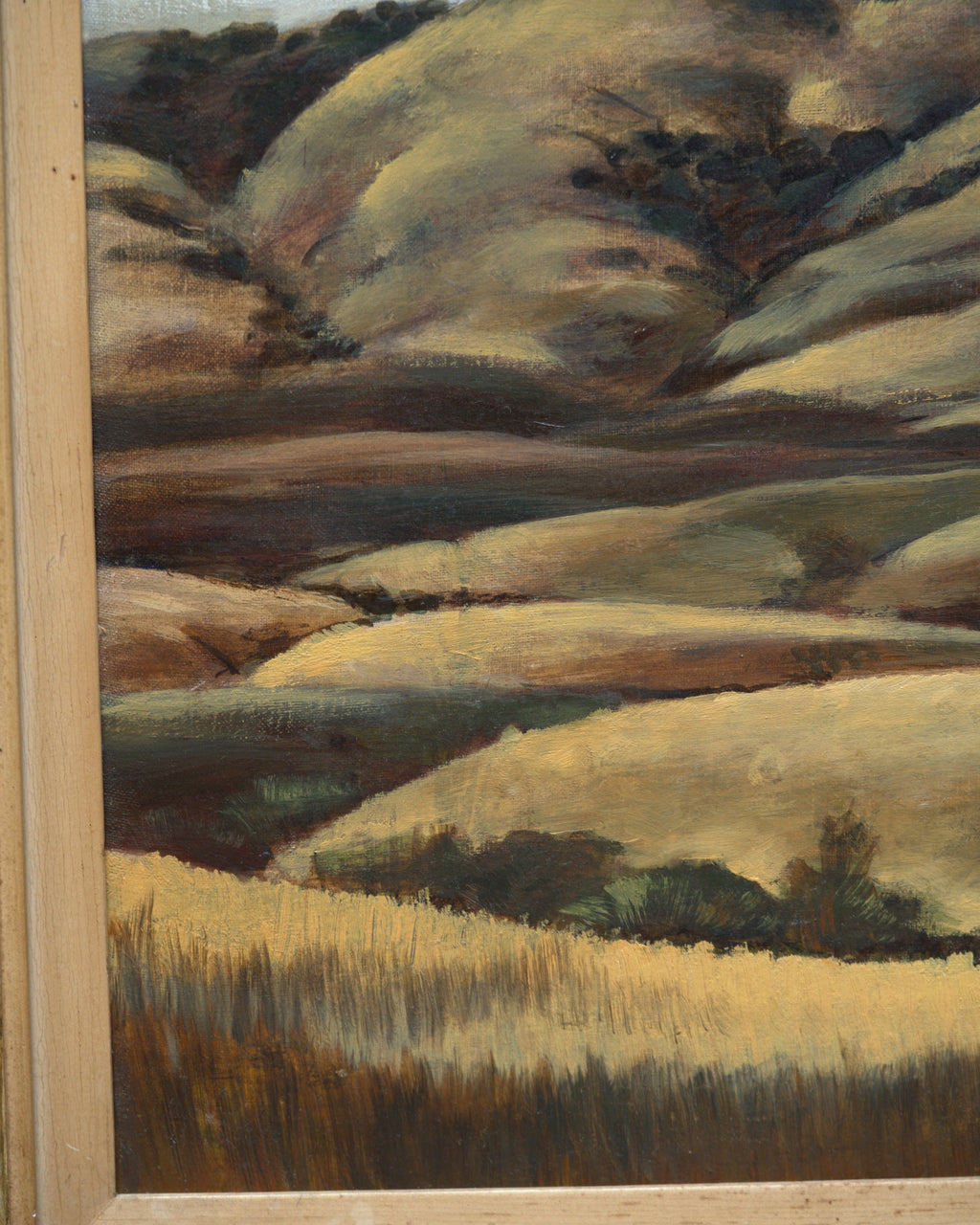 Close detail (grass) of the Milford Zornes painting Hills of Nipomo, golden rolling hills under gray clouds, in a wide limed wood frame.